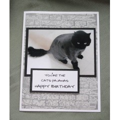 Cat Birthday Greeting Card - Flash